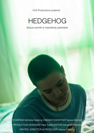 Póster de Hedgehog