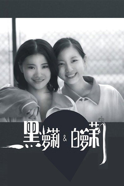 Póster de Hei Luo Li he Bai Luo Li