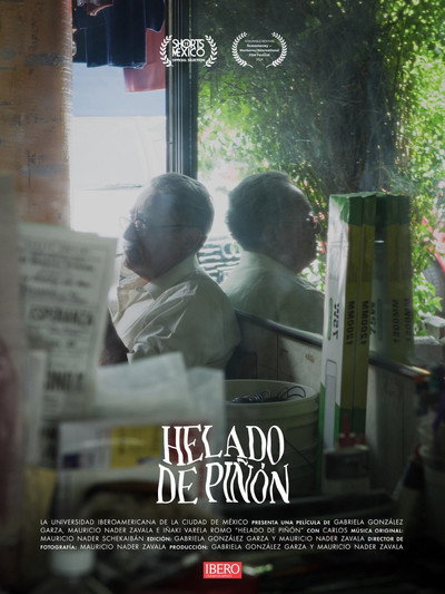Póster de Helado de piñón