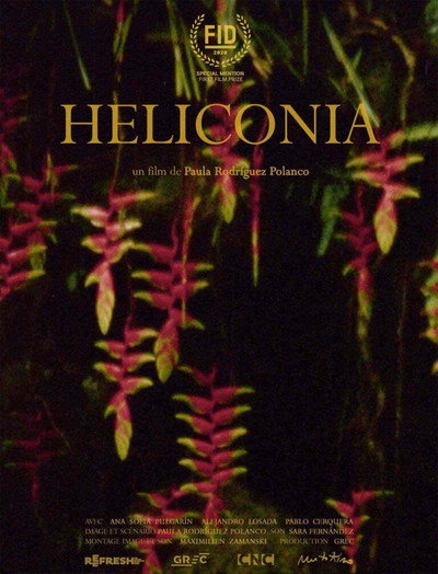 Póster de Heliconia