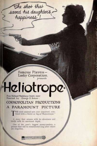 Póster de Heliotrope