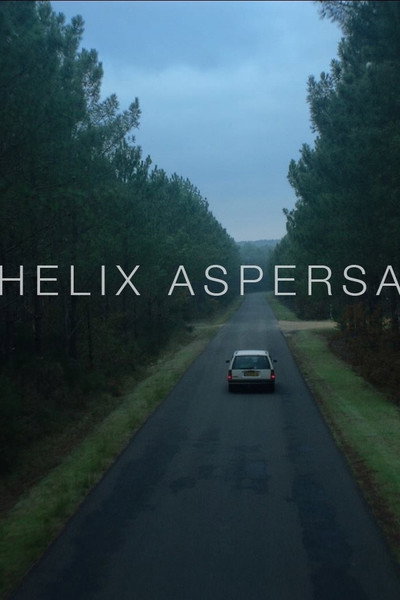 Póster de Helix Aspersa