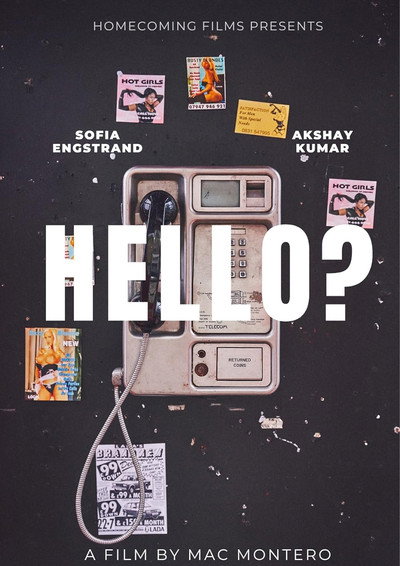 Póster de Hello?