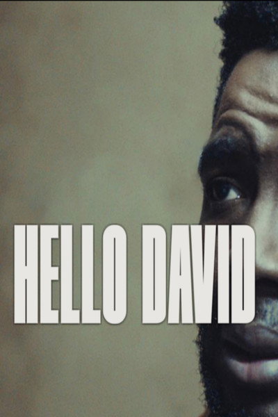 Póster de Hello David