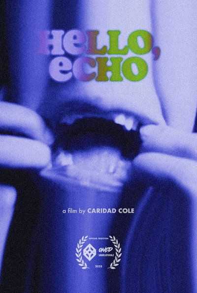 Póster de Hello, Echo