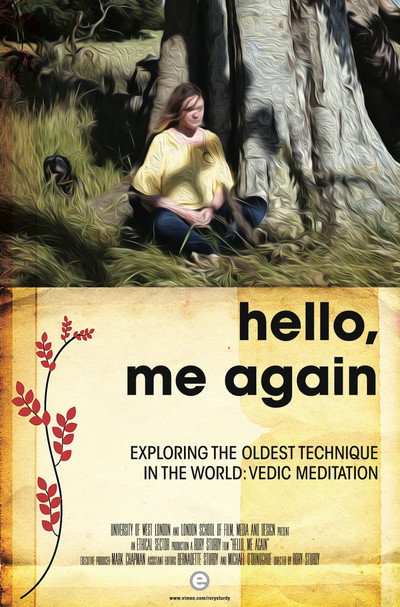 Póster de Hello, Me Again