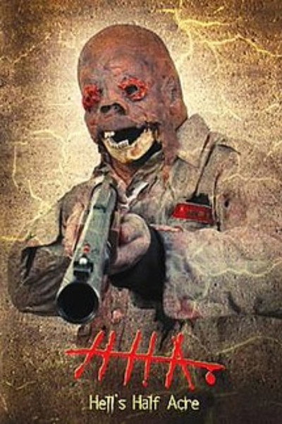 Póster de Hell's Half Acre