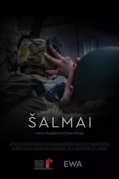 Póster de Helmets
