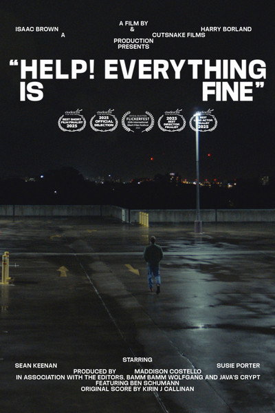 Póster de Help! Everything is Fine