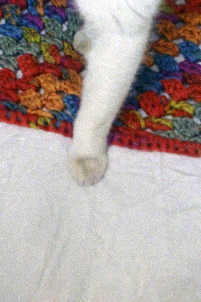 Póster de Henry is a Girl Who Likes to Sleep