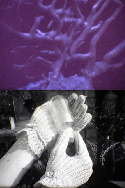 Póster de Her* Hands and His Shape