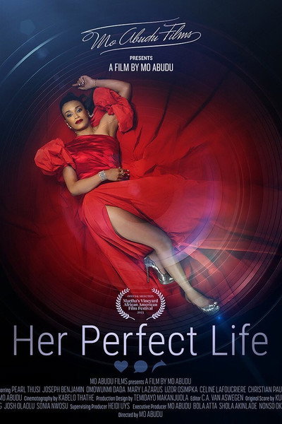 Póster de Her Perfect Life