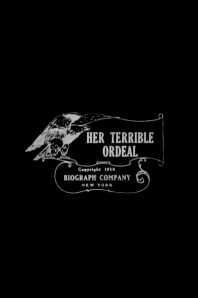 Póster de Her Terrible Ordeal
