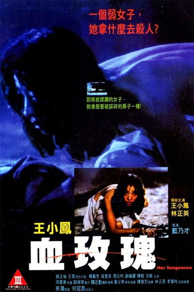 Póster de Her Vengeance