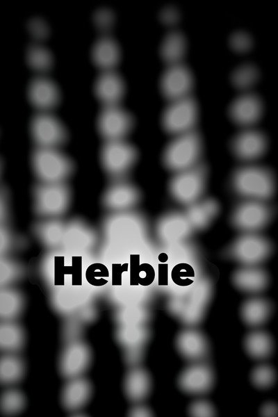 Póster de Herbie