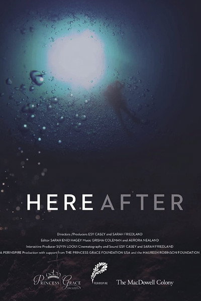 Póster de Here After