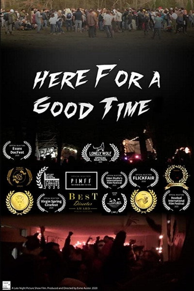 Póster de Here for a Good Time