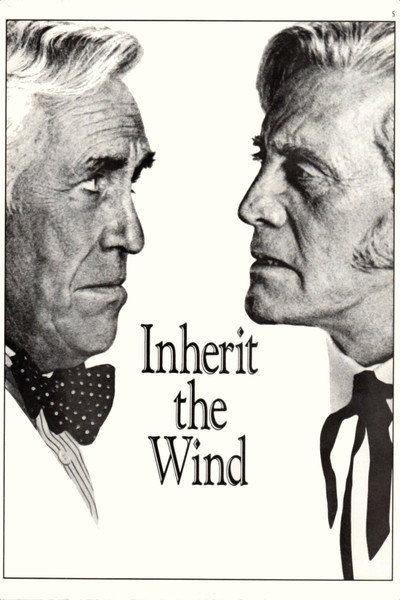 Póster de Heredarás el viento