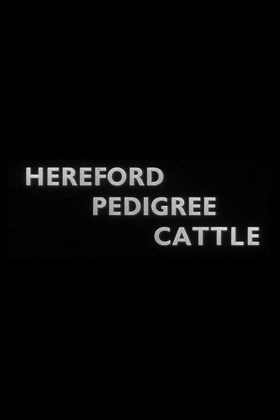Póster de Hereford Pedigree Cattle