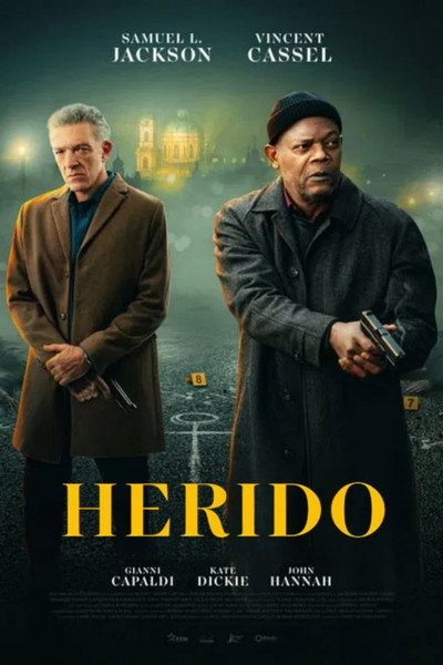 Póster de Herido