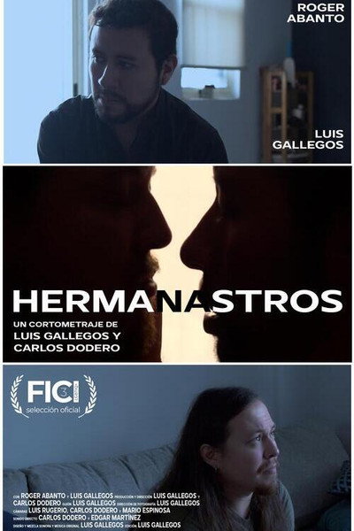 Póster de Hermanastros