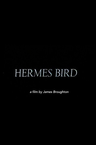 Póster de Hermes Bird