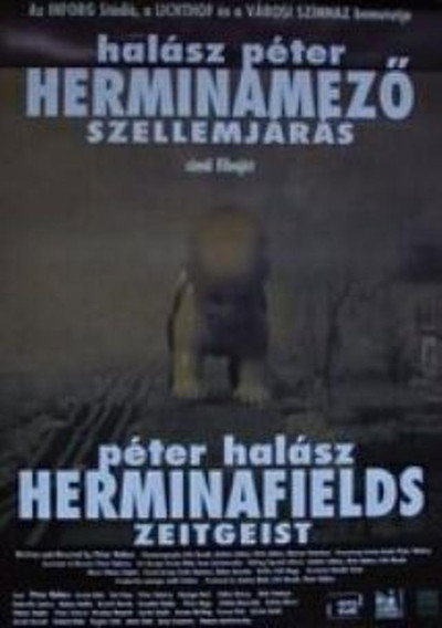 Póster de Herminamezö - Szellemjárás