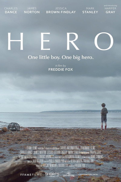 Póster de Hero