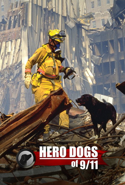 Póster de Hero Dogs of 9/11 (Documentary Special)