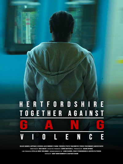Póster de Hertfordshire Together Against Gang Violence