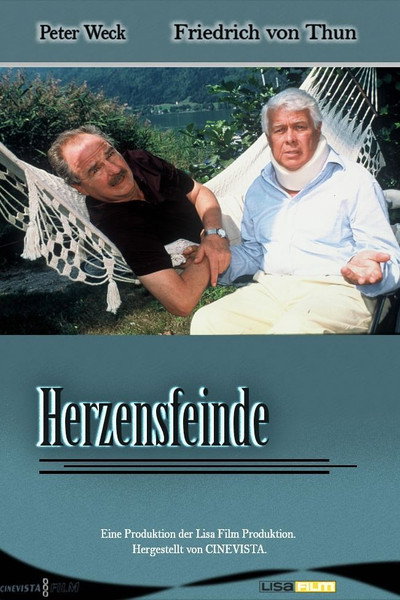 Póster de Herzensfeinde