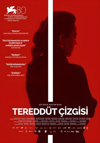 Póster de Hesitation Wound