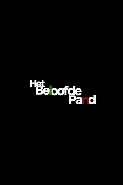 Póster de Het beloofde pand