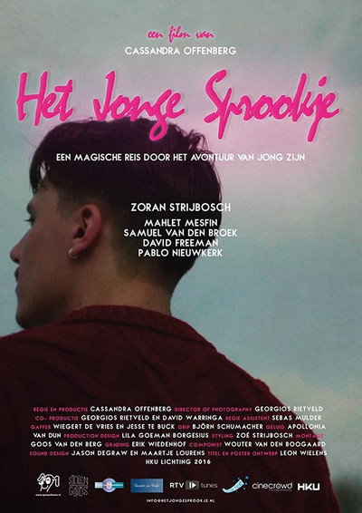 Póster de Het jonge sprookje