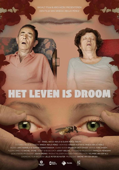 Póster de Het Leven Is Droom