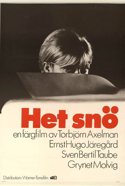 Póster de Het snö
