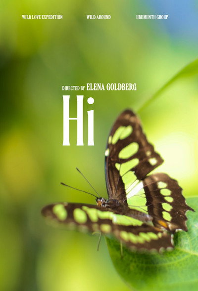 Póster de Hi