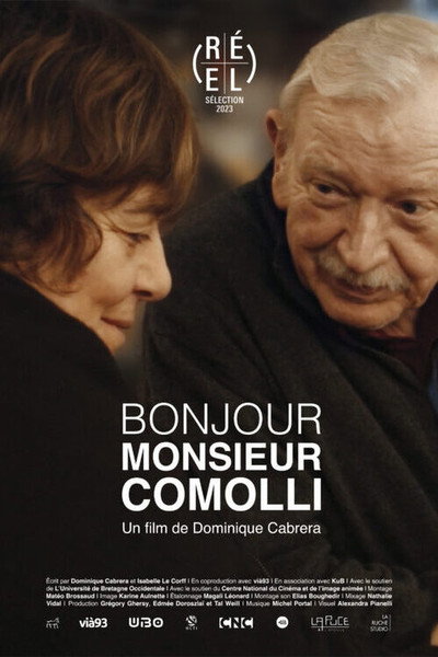 Póster de Hi Mister Comolli
