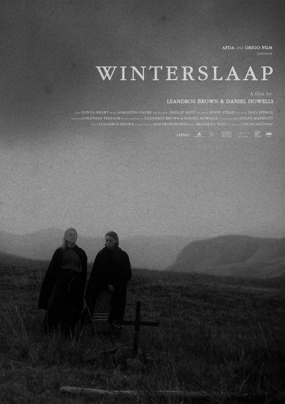 Póster de Hibernation