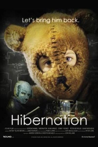 Póster de Hibernation