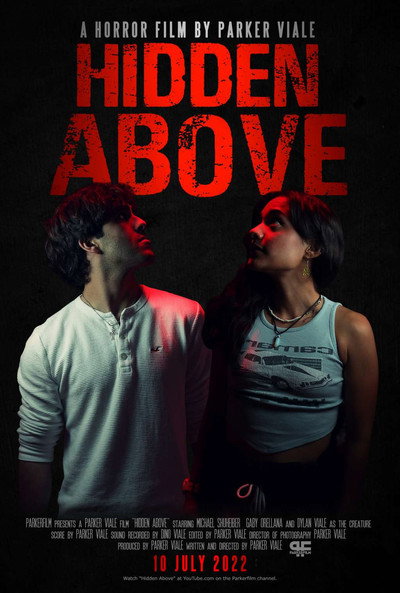 Póster de Hidden Above