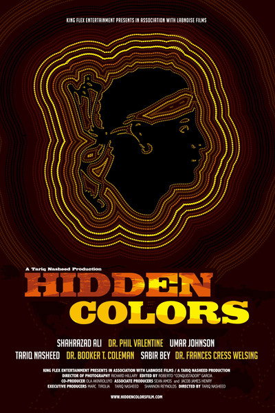 Póster de Hidden Colors