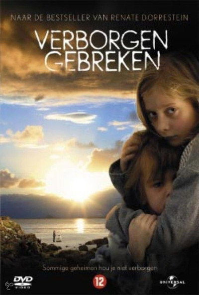 Póster de Hidden Flaws