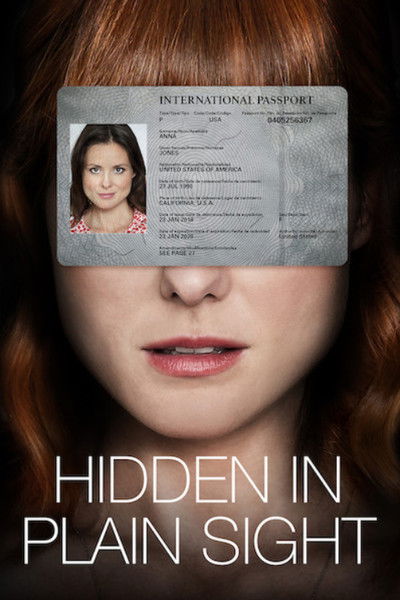 Póster de Hidden in Plain Sight