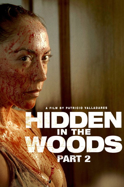 Póster de Hidden in the Woods II