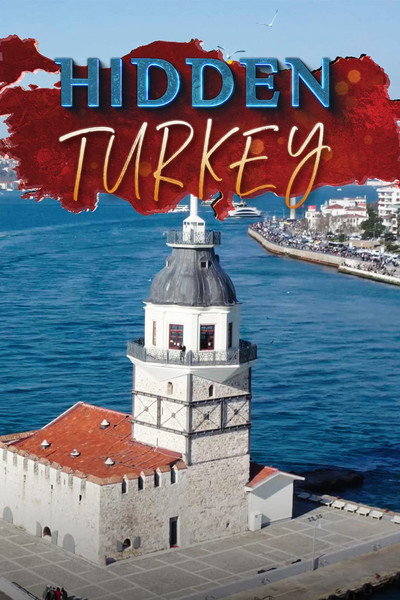Póster de Hidden Turkey