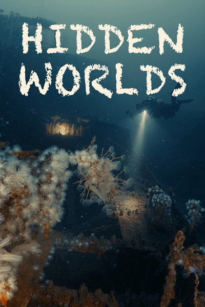 Póster de Hidden Worlds