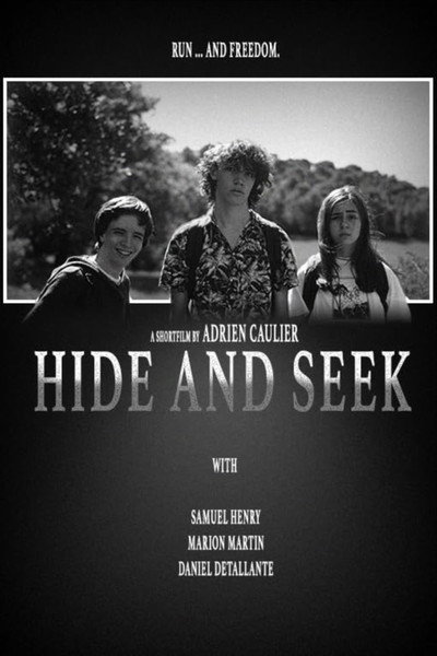 Póster de Hide and seek