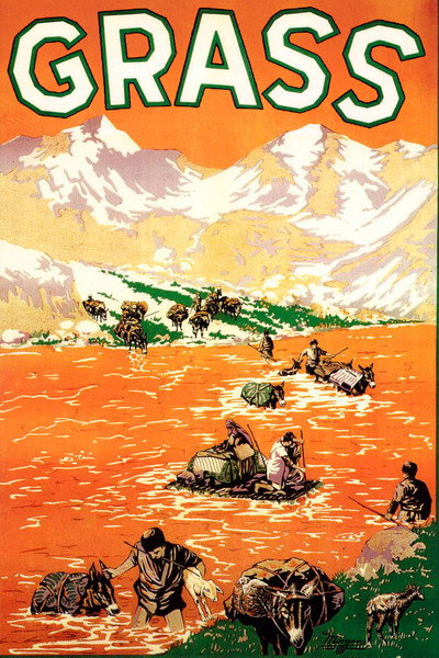 Póster de Hierba