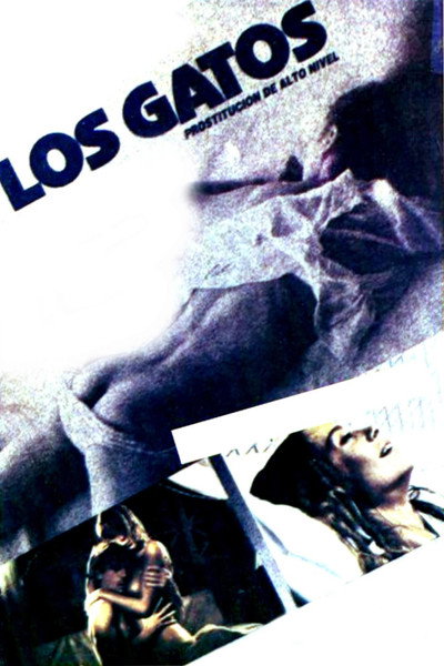 Póster de High Class Affair